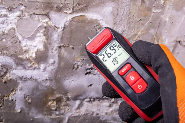 Best Mold Testing  in Halawa, HI