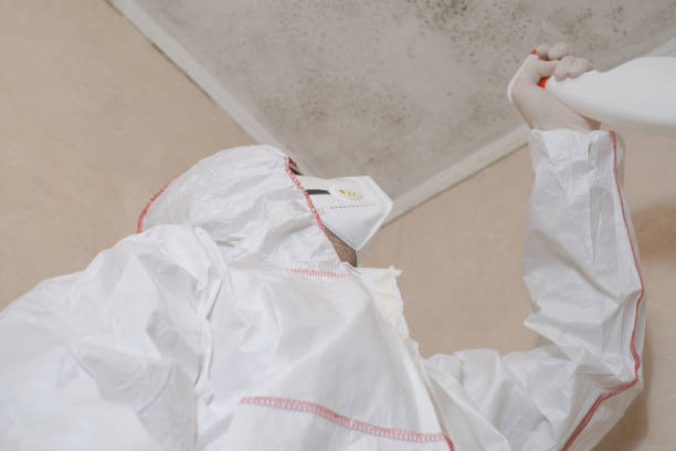 Office Mold Removal Services in Halawa, HI